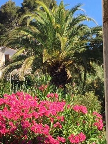 Sanary Sanary-sur-Mer Exterior foto